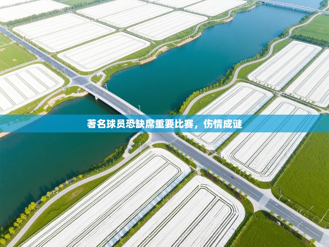 著名球员恐缺席重要比赛，伤情成谜  第2张