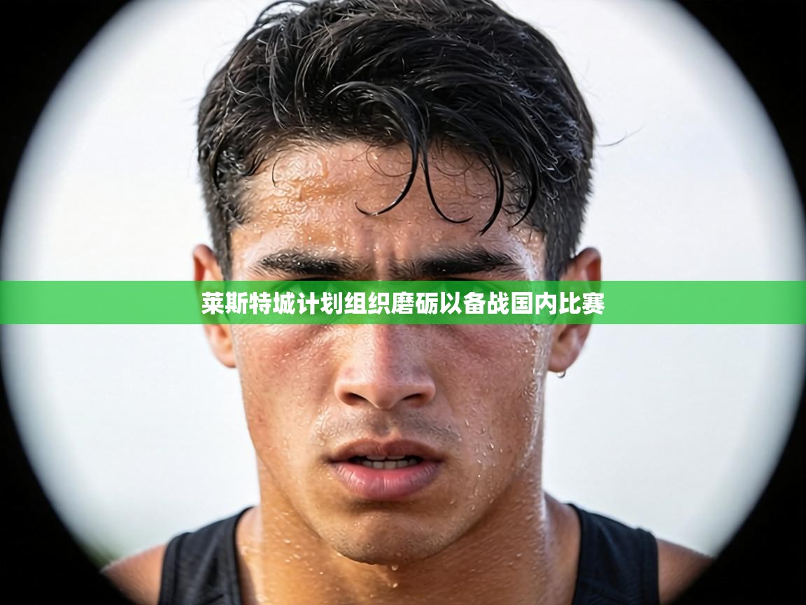 莱斯特城计划组织磨砺以备战国内比赛  第2张